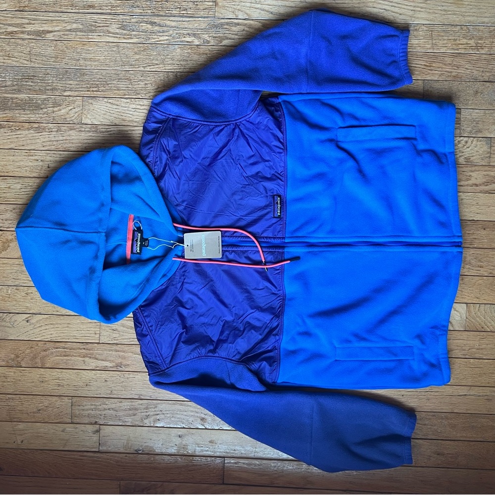 Patagonia Microdini Hoodie